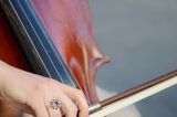 Sommerafslutnings koncert med Strygeorkesteret på Stolpedalsskolen.
