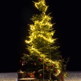 Juletræs tænding på Skippertorvet
