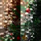 Julekoncert med Aalborg Ungdoms Symfoniorkester og solister Julekoncert med Aalborg Ungdoms Symfoniorkester og solister